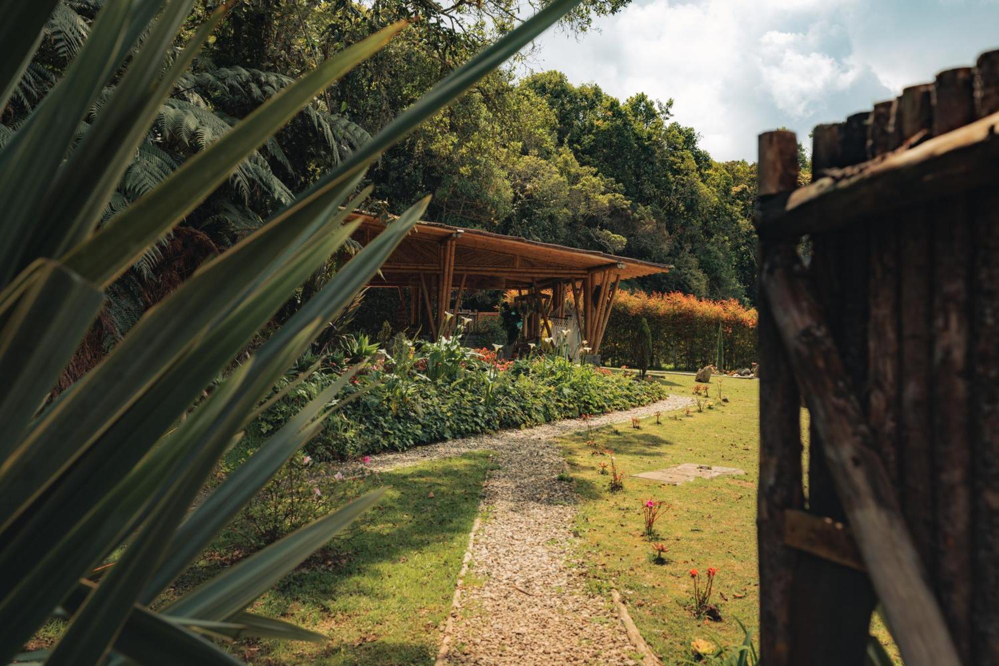 Hotel Bubblesky Glamping 15 Min From Medellin à Rionegro Extérieur photo