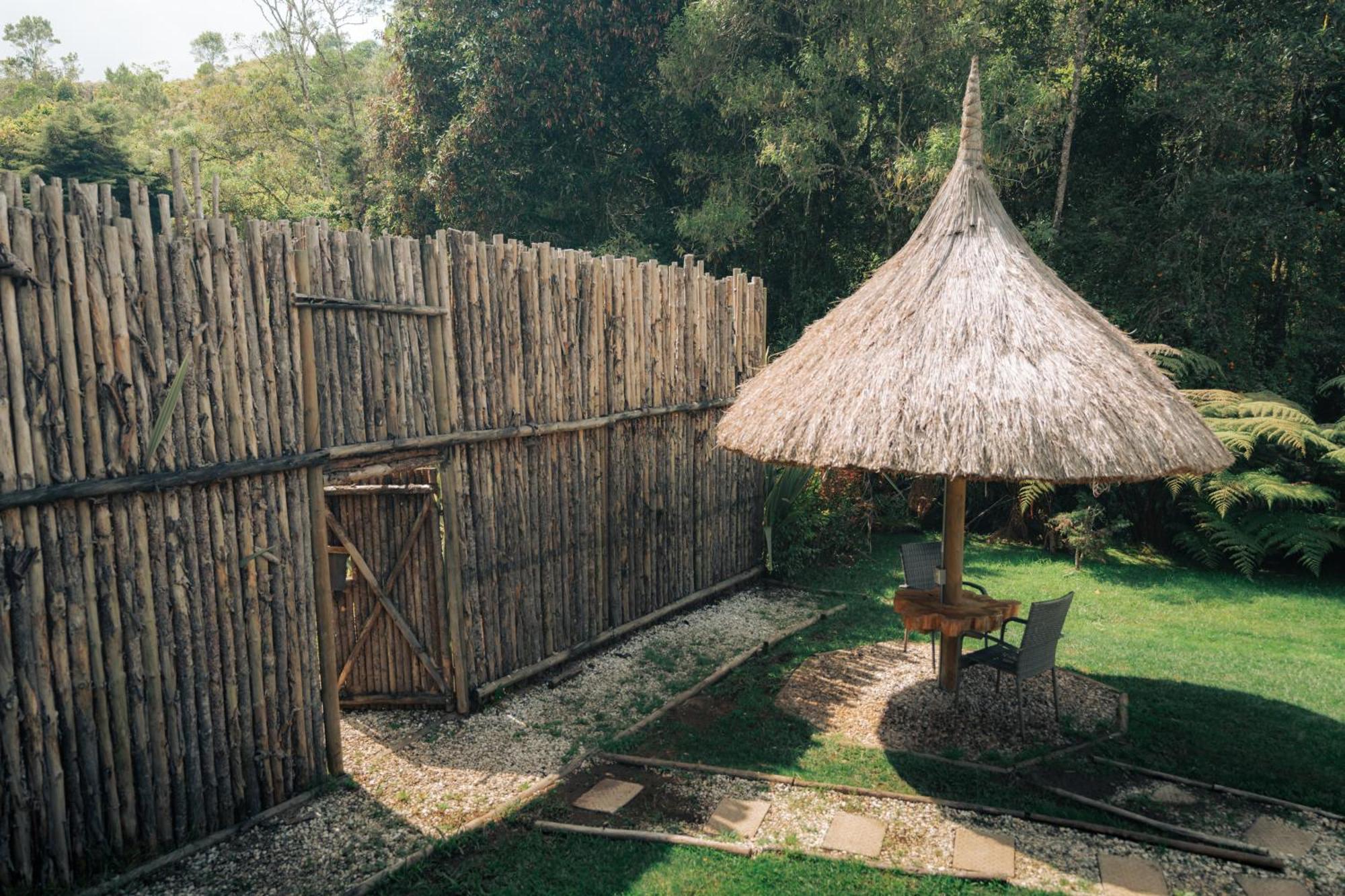 Hotel Bubblesky Glamping 15 Min From Medellin à Rionegro Extérieur photo