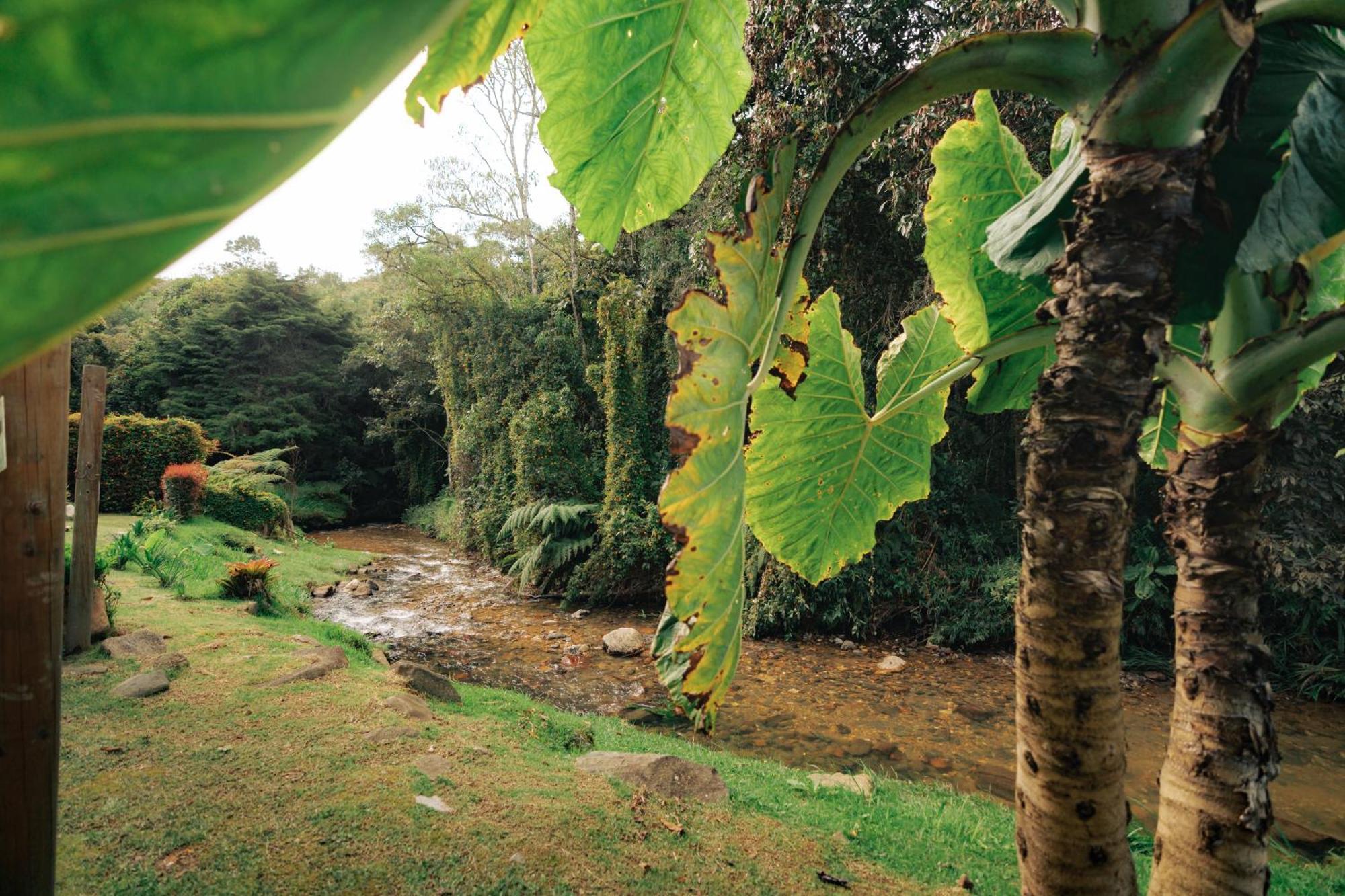 Hotel Bubblesky Glamping 15 Min From Medellin à Rionegro Extérieur photo