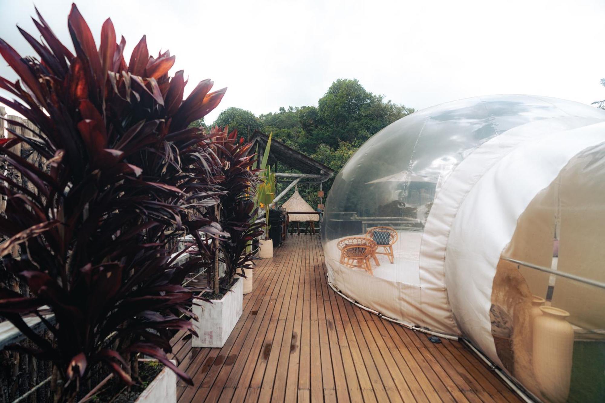 Hotel Bubblesky Glamping 15 Min From Medellin à Rionegro Extérieur photo