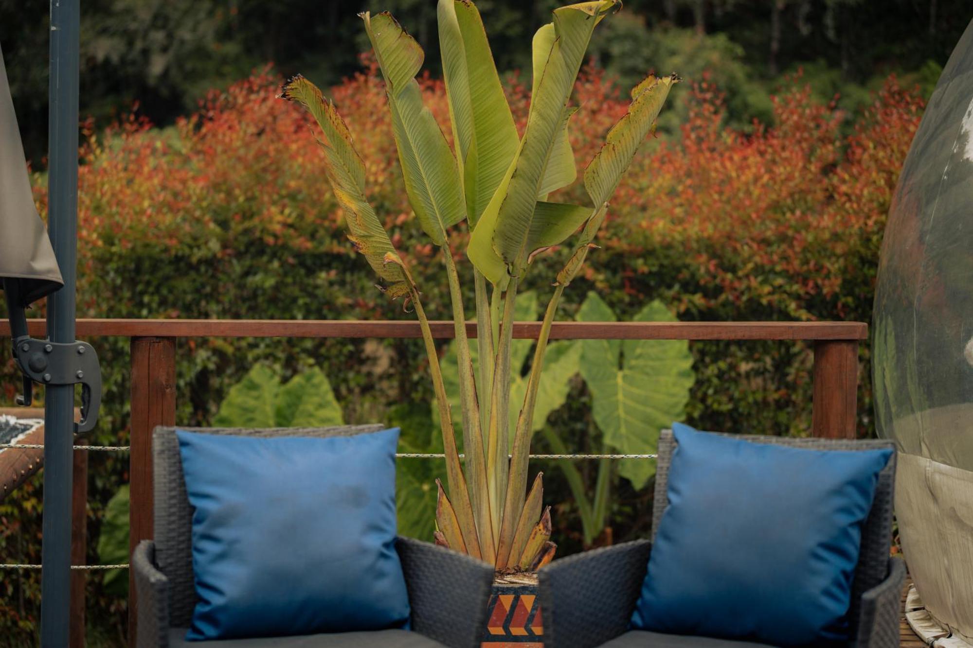 Hotel Bubblesky Glamping 15 Min From Medellin à Rionegro Extérieur photo
